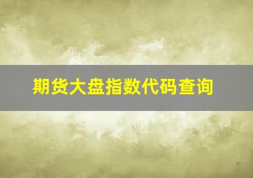 期货大盘指数代码查询