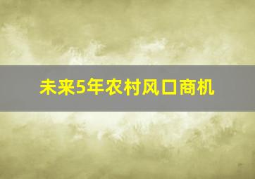 未来5年农村风口商机