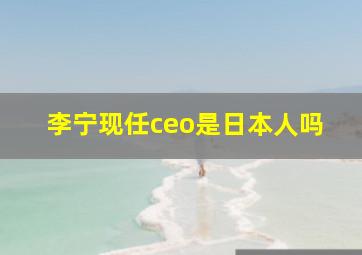 李宁现任ceo是日本人吗