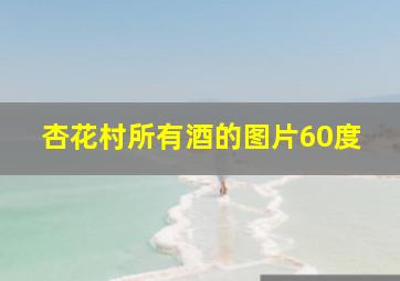 杏花村所有酒的图片60度