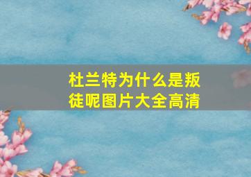 杜兰特为什么是叛徒呢图片大全高清