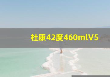 杜康42度460mlV5