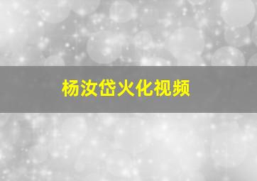 杨汝岱火化视频