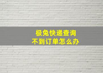 极兔快递查询不到订单怎么办