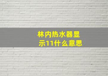 林内热水器显示11什么意思