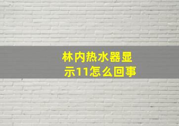 林内热水器显示11怎么回事