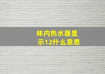 林内热水器显示12什么意思