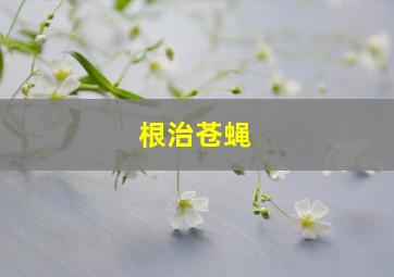 根治苍蝇