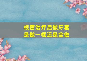 根管治疗后做牙套是做一棵还是全做