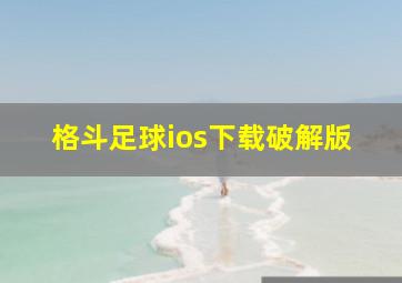 格斗足球ios下载破解版