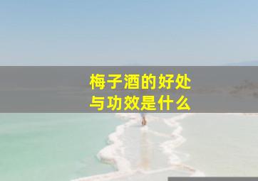 梅子酒的好处与功效是什么