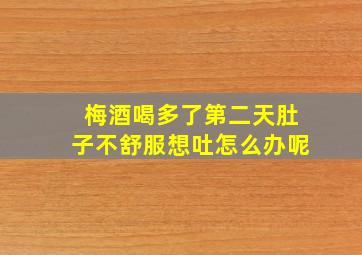 梅酒喝多了第二天肚子不舒服想吐怎么办呢