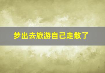 梦出去旅游自己走散了