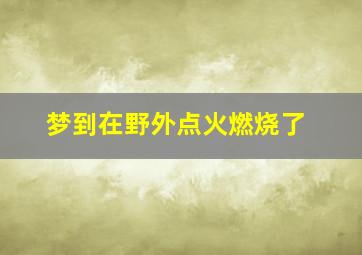 梦到在野外点火燃烧了