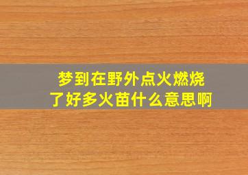 梦到在野外点火燃烧了好多火苗什么意思啊