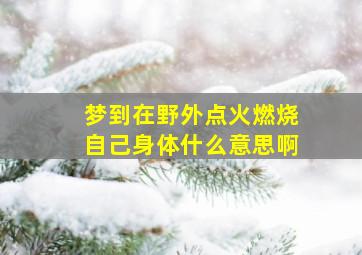 梦到在野外点火燃烧自己身体什么意思啊