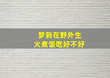 梦到在野外生火煮饭吃好不好