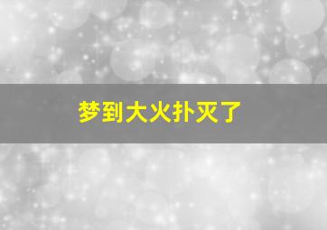 梦到大火扑灭了