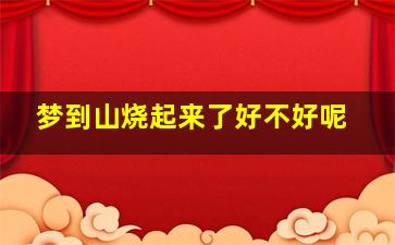 梦到山烧起来了好不好呢