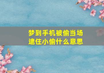 梦到手机被偷当场逮住小偷什么意思