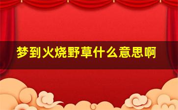 梦到火烧野草什么意思啊