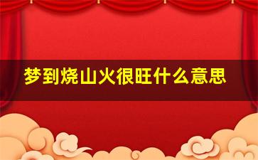 梦到烧山火很旺什么意思