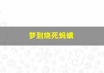 梦到烧死蚂蟥