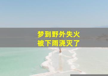 梦到野外失火被下雨浇灭了