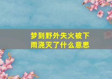 梦到野外失火被下雨浇灭了什么意思