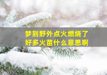 梦到野外点火燃烧了好多火苗什么意思啊