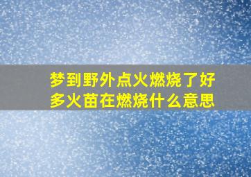 梦到野外点火燃烧了好多火苗在燃烧什么意思