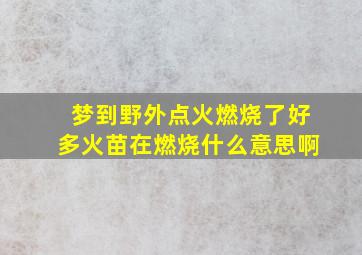 梦到野外点火燃烧了好多火苗在燃烧什么意思啊