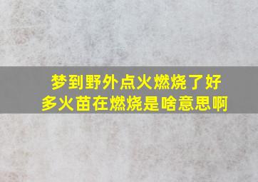 梦到野外点火燃烧了好多火苗在燃烧是啥意思啊