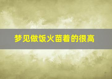 梦见做饭火苗着的很高