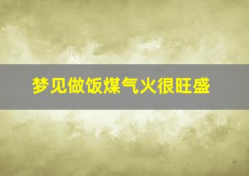 梦见做饭煤气火很旺盛