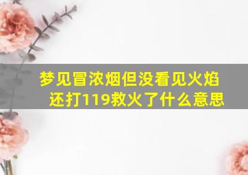 梦见冒浓烟但没看见火焰还打119救火了什么意思