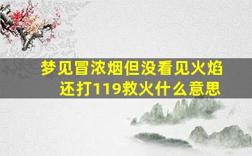 梦见冒浓烟但没看见火焰还打119救火什么意思