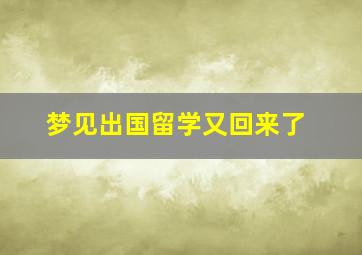 梦见出国留学又回来了