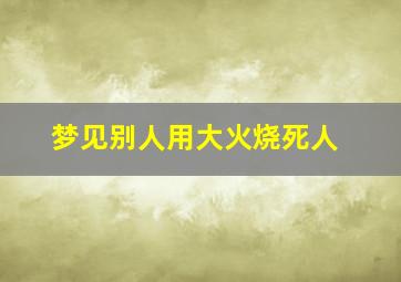 梦见别人用大火烧死人