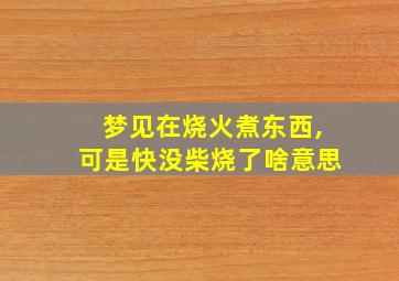 梦见在烧火煮东西,可是快没柴烧了啥意思