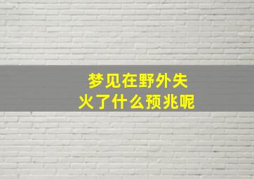 梦见在野外失火了什么预兆呢