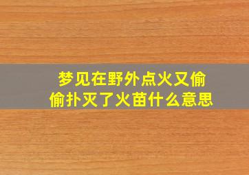 梦见在野外点火又偷偷扑灭了火苗什么意思