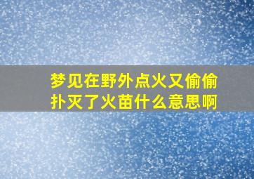 梦见在野外点火又偷偷扑灭了火苗什么意思啊