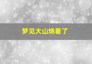 梦见大山烧着了