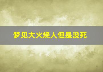 梦见大火烧人但是没死