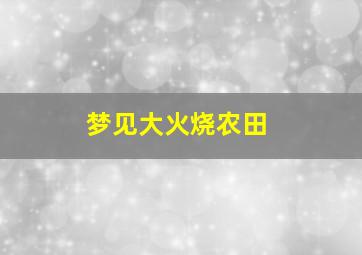 梦见大火烧农田