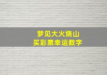 梦见大火烧山买彩票幸运数字