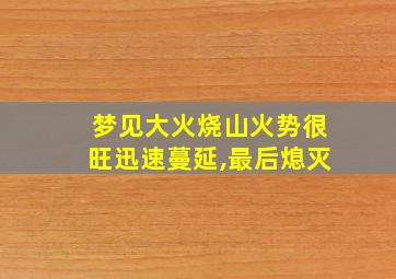 梦见大火烧山火势很旺迅速蔓延,最后熄灭