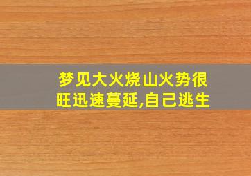 梦见大火烧山火势很旺迅速蔓延,自己逃生