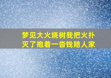 梦见大火烧树我把火扑灭了抱着一沓钱赔人家